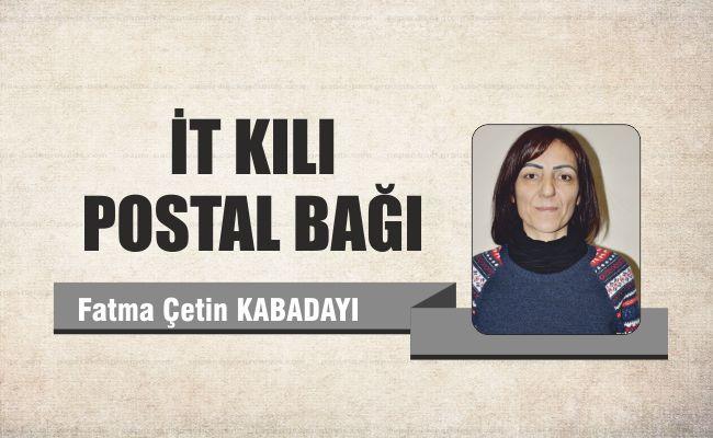 İt Kılı Postal Bağı