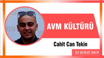 AVM KÜLTÜRÜ