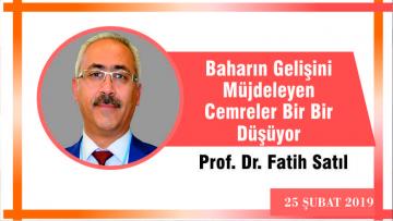 Baharın Gelişini Müjdeleyen Cemreler Bir Bir Düşüyor