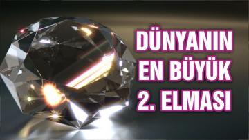 Dünyanın en büyük 2’nci elması bulundu