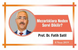 Mezarlıklara Neden Servi Dikilir?