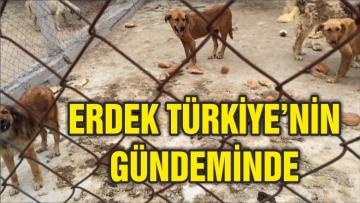 ERDEK TWİTTER’DA TT OLDU