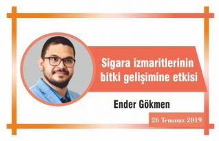 Sigara izmaritlerinin bitki gelişimine etkisi