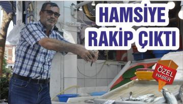 HAMSİYE RAKİP ÇIKTI