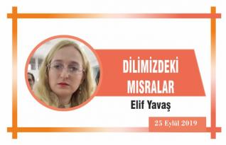 DİLİMİZDEKİ MISRALAR
