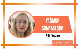 YAĞMUR SONRASI ŞİİR