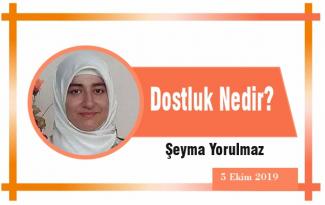Dostluk Nedir?