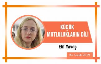 KÜÇÜK MUTLULUKLARIN DİLİ