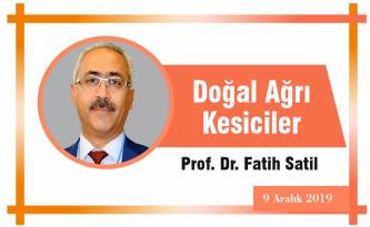 Doğal Ağrı Kesiciler