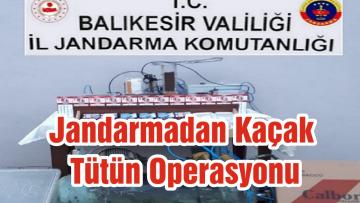 Jandarmadan Kaçak Tütün Operasyonu