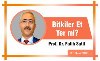 Bitkiler Et Yer mi?