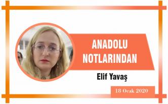 ANADOLU NOTLARINDAN