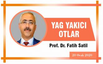 YAĞ YAKICI OTLAR