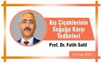 Kış Çiçeklerinin Soğuğa Karşı Tedbirleri