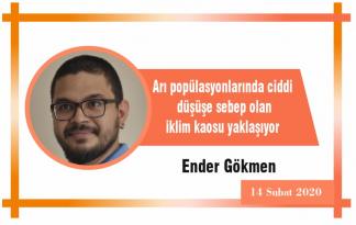 Arı popülasyonlarında ciddi düşüşe sebep olan iklim kaosu yaklaşıyor