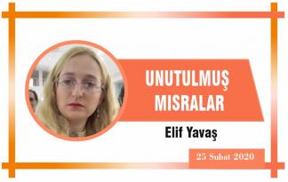 UNUTULMUŞ MISRALAR