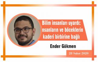 Bilim insanları uyardı: İnsanların ve böceklerin kaderi birbirine bağlı