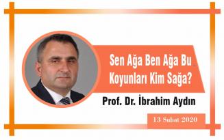 Sen Ağa Ben Ağa Bu Koyunları Kim Sağa?