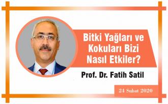Bitki Yağları ve Kokuları Bizi Nasıl Etkiler?