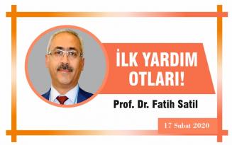 İLK YARDIM OTLARI!