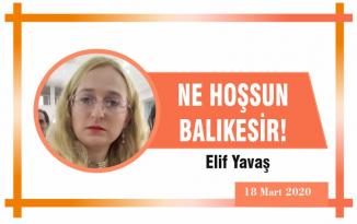 NE HOŞSUN BALIKESİR!