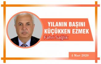 YILANIN BAŞINI KÜÇÜKKEN EZMEK