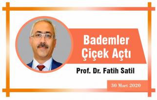 Bademler Çiçek Açtı