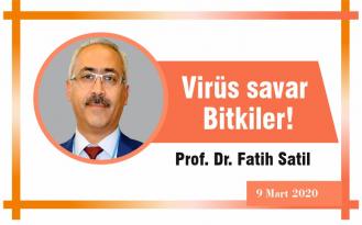 Virüs savar Bitkiler!