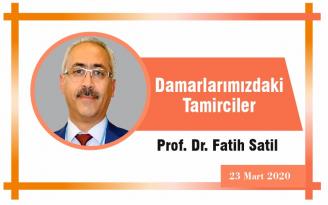Damarlarımızdaki Tamirciler
