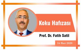 Koku Hafızası