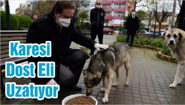 Karesi Dost Eli Uzatıyor