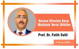 Korona Stresine Karşı Mutluluk Verici Bitkiler