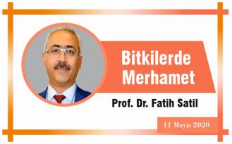Bitkilerde Merhamet