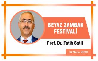 BEYAZ ZAMBAK FESTİVALİ