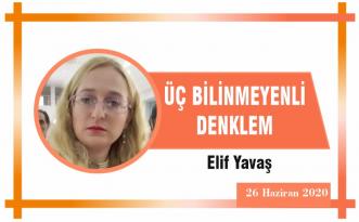 ÜÇ BİLİNMEYENLİ DENKLEM