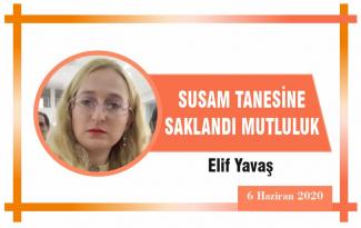 SUSAM TANESİNE SAKLANDI MUTLULUK