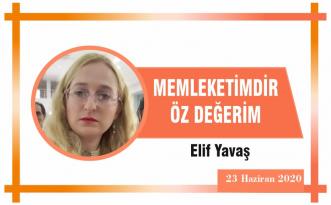 MEMLEKETİMDİR ÖZ DEĞERİM