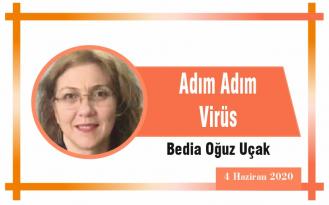 Adım Adım Virüs