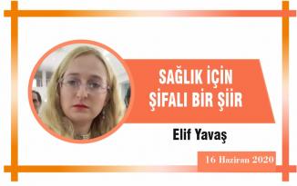 SAĞLIK İÇİN ŞİFALI BİR ŞİİR