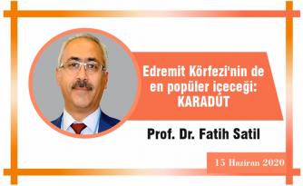 Edremit Körfezi’nin de en popüler içeceği: KARADUT