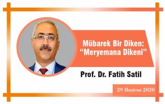 Mübarek Bir Diken: “Meryemana Dikeni “