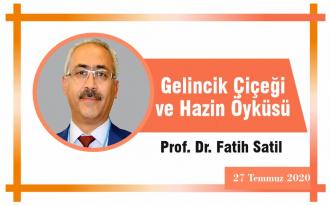 Gelincik Çiçeği ve Hazin Öyküsü
