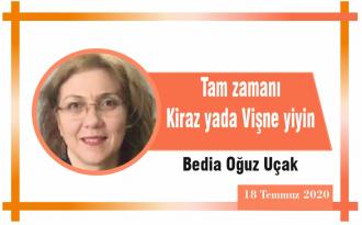 Tam zamanı Kiraz yada Vişne yiyin