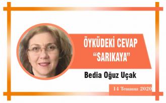 ÖYKÜDEKİ CEVAP “SARIKAYA”