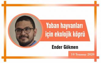 Yaban hayvanları için ekolojik köprü