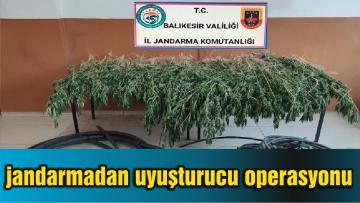 jandarmadan uyuşturucu operasyonu