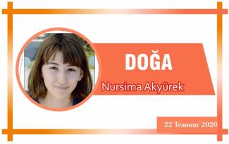 DOĞA