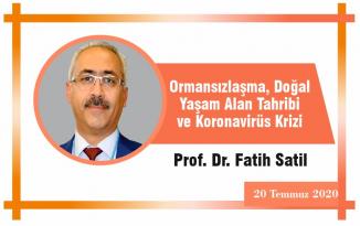 Ormansızlaşma, Doğal Yaşam Alan Tahribi ve Koronavirüs Krizi
