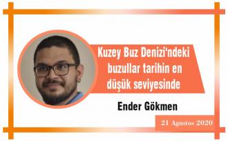 Kuzey Buz Denizi’ndeki buzullar tarihin en düşük seviyesinde