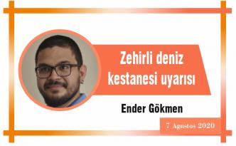 Zehirli deniz kestanesi uyarısı